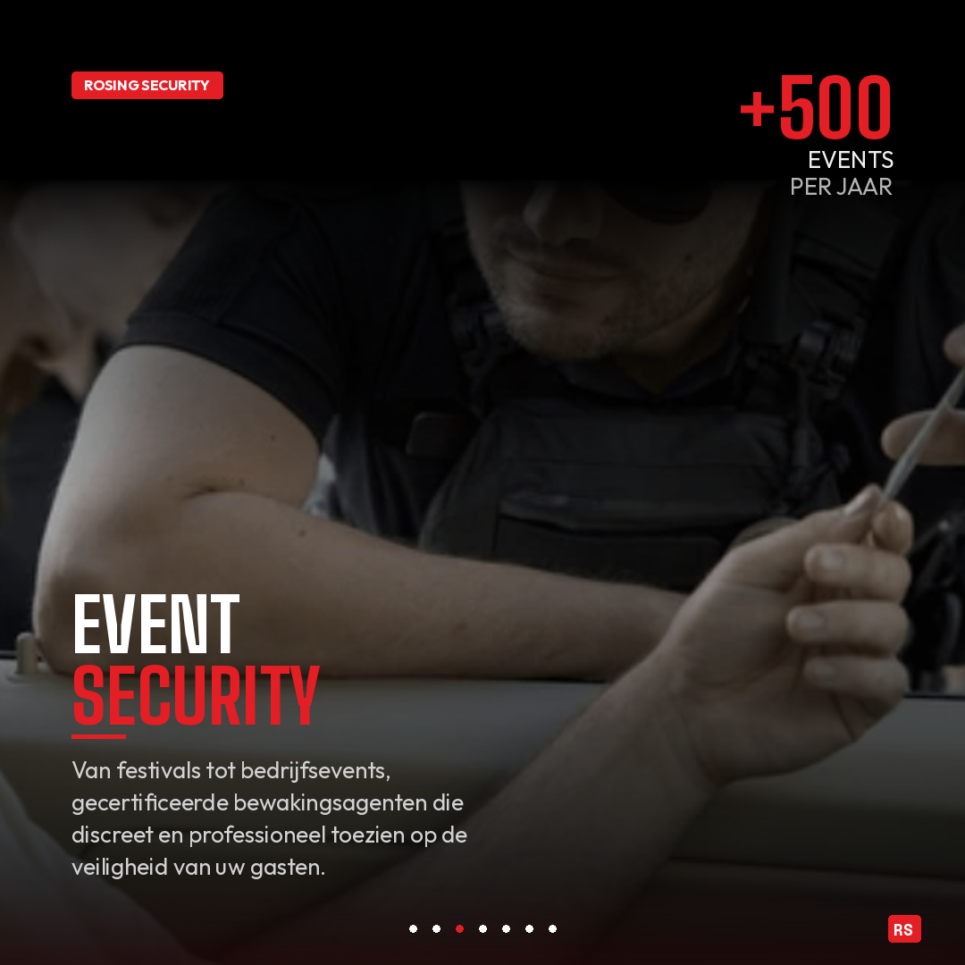 Rosing Security website case study